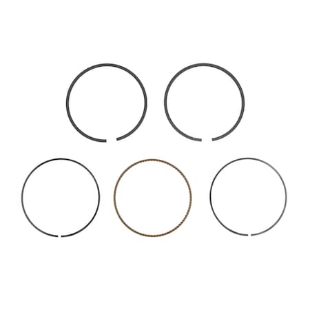 Briggs & Stratton RING SET 791787